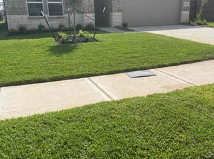 Cheryl C.'s grass maintenance service result