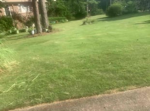 Jose M.'s Bush Trimming service result