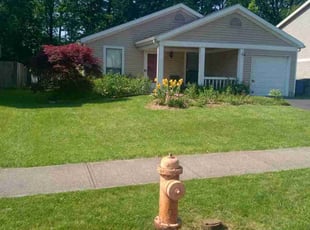 Mara S.'s grass cutting service result