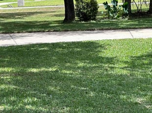 Mecca M.'s landscape maintenance service result