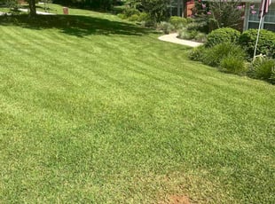 Kate A.'s grass maintenance service result