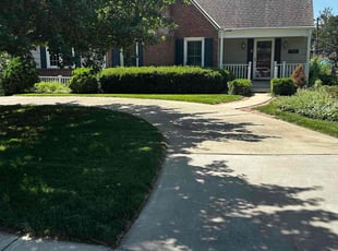 Subodh K.'s lawn service service result