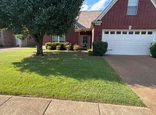Angelica M.'s grass maintenance service result