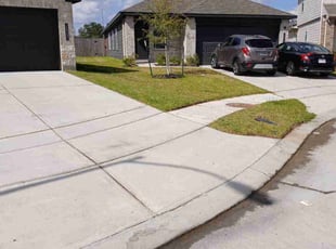 Shaun R.'s lawn care service result