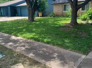 Inmer B.'s grass maintenance service result