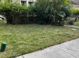 Rodshetta S.'s Bush Trimming service result