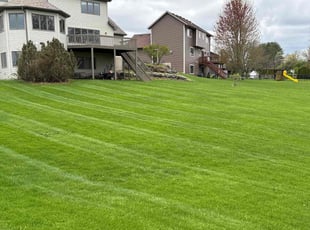 Serena J.'s yard work service result