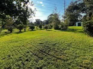 Kim S.'s lawn service service result