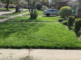 Becky W.'s lawn service service result