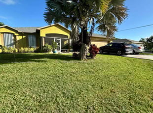 Fabian L.'s lawn service service result