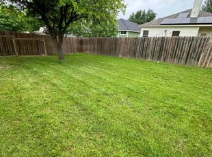 Norvell C.'s lawn care services service result