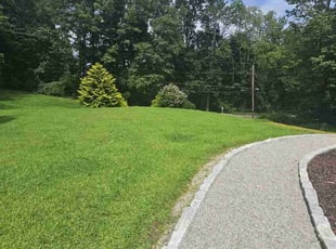 Heather D.'s turf maintenance service result