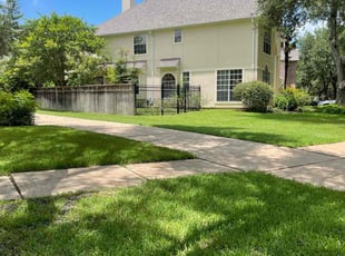 San S.'s turf maintenance service result