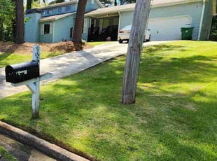 Aundria L.'s lawn service service result