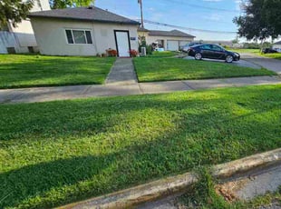 Ruth S.'s lawn maintenance service result