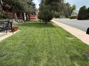 Valerie C.'s lawn care service result