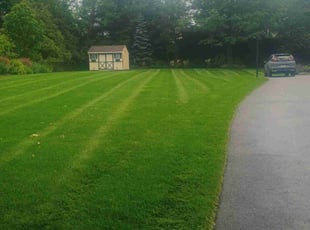 Jamie H.'s lawn care service result