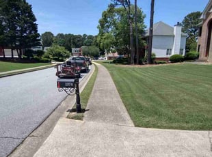 Adrianne B.'s grass maintenance service result
