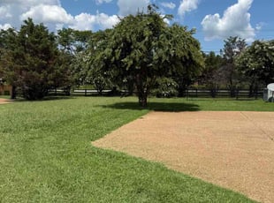 Kasandra G.'s lawn service service result
