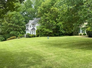Chris B.'s landscaping service result