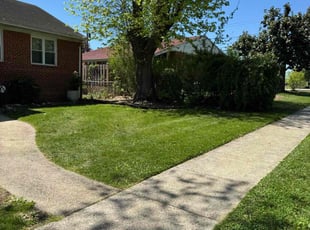 Brian M.'s turf maintenance service result