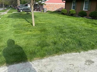 Robert B.'s turf maintenance service result