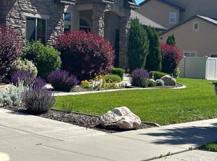 Jake B.'s gardening service service result