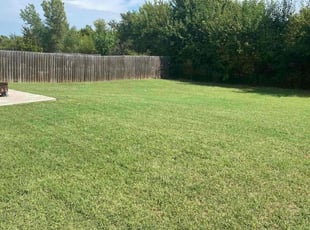 Stacy M.'s lawn care services service result
