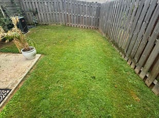 Nelson M.'s lawn maintenance service result
