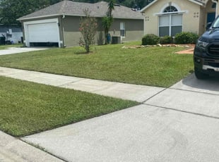 Doug R.'s grass cutting service result