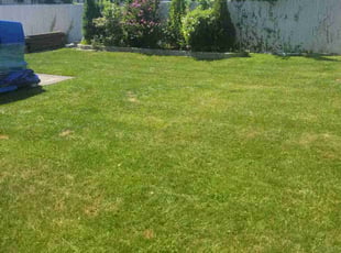 Kareem A.'s lawn maintenance service result