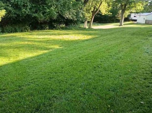 Mark G.'s lawn care services service result