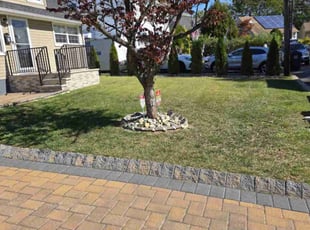 Janette W.'s lawn care services service result