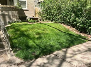 Leslie B.'s lawn maintenance service result