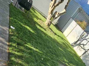 Mildred N.'s turf maintenance service result