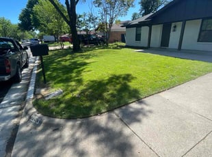 Jeff T.'s grass cutting service result
