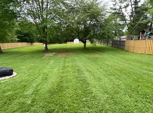 Rodrigo D.'s turf care service result