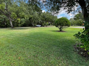 Shannon S.'s grass maintenance service result