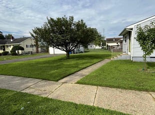 Adrienne D.'s lawn care service result