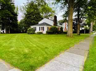 Paul B.'s turf care service result