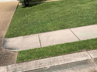 Diana L.'s lawn service service result