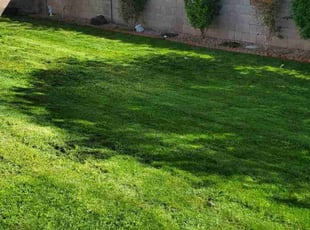 Howard M.'s lawn service service result