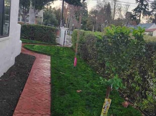 Jerome J.'s landscaping service result