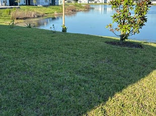 Julie G.'s turf maintenance service result