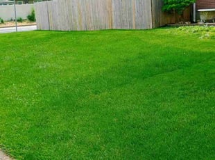 William S.'s grass maintenance service result