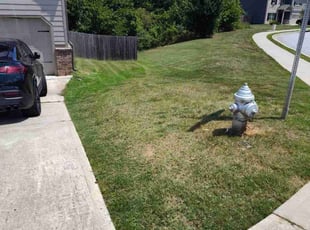 Rachel T.'s lawn care service result