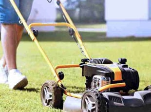 April J.'s turf care service result
