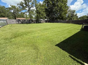 James D.'s lawn maintenance service result