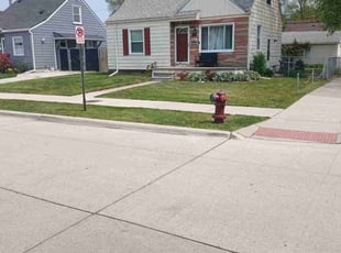 Troy H.'s turf maintenance service result