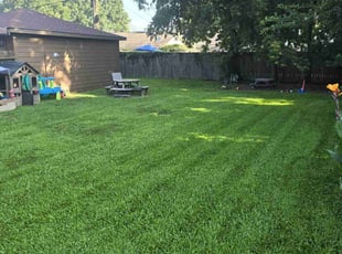 Eunjoo L.'s grass cutting service result